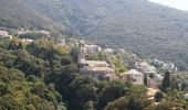 Trail Walking Belgodère - Agriates + Cap Corse en 7 jours de randonnée - Photo 2
