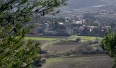 Randonnée Course à pied Carcassonne - Variante de Cavayere Monze - Photo 4