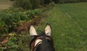 Tocht Paard Neufchâteau - boucle Hamipré par La Croix de l'homme  - Photo 5