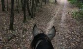 Tour Pferd Neufchâteau - boucle Hamipré par La Croix de l'homme  - Photo 2