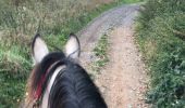 Tocht Paard Neufchâteau - boucle Hamipré par La Croix de l'homme  - Photo 1