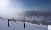 Percorso Racchette da neve Innimond - Le Mont Pela, crête d'Innimond en raquettes - Photo 1