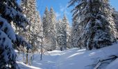 Tocht Sneeuwschoenen Lamoura - Forêt du Massacre - Lamoura - le Boulu - Photo 5