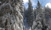 Randonnée Raquettes à neige Lamoura - Forêt du Massacre - Lamoura - le Boulu - Photo 4