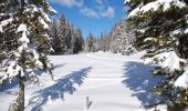 Tocht Sneeuwschoenen Lamoura - Forêt du Massacre - Lamoura - le Boulu - Photo 2