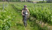 Trail Mountain bike Frontenac - Frontenac - ruisseaux et carrières - Photo 1