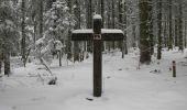 Randonnée Raquettes à neige Ventron - Vosges en Raquettes : Frère Joseph - Photo 2