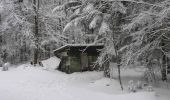 Randonnée Raquettes à neige Ventron - Vosges en Raquettes : Frère Joseph - Photo 1