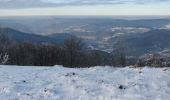 Randonnée Raquettes à neige Saint-Maurice-sur-Moselle - Vosges en Raquettes : Ballon d'Alsace - Photo 1