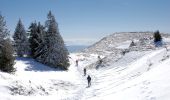Percorso Racchette da neve Mijoux - Les crêtes du Mont Rond - Photo 3