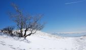Percorso Racchette da neve Mijoux - Les crêtes du Mont Rond - Photo 4
