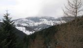 Randonnée Raquettes à neige Bussang - Vosges en Raquettes : Bussang, tour de la Tête des Allemands - Photo 4