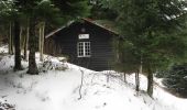Randonnée Raquettes à neige Bussang - Vosges en Raquettes : Bussang, tour de la Tête des Allemands - Photo 3