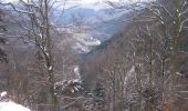 Randonnée Raquettes à neige Bussang - Vosges en Raquettes : Bussang, tour de la Tête des Allemands - Photo 2