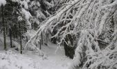 Randonnée Raquettes à neige Ramonchamp - Vosges en Raquettes : Les mille étangs - Photo 6