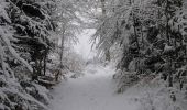 Randonnée Raquettes à neige Ramonchamp - Vosges en Raquettes : Les mille étangs - Photo 2