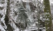 Randonnée Raquettes à neige Ramonchamp - Vosges en Raquettes : Les mille étangs - Photo 1
