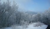 Excursión Raquetas de nieve Saint-Genès-Champanelle - Puy d'Auvergne - Laschamps - Photo 2