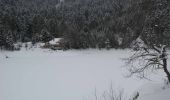 Randonnée Raquettes à neige Saint-Maurice-sur-Moselle - Vosges en Raquettes : les lacs du Neuweiher - Photo 4