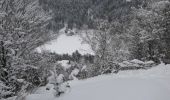 Randonnée Raquettes à neige Saint-Maurice-sur-Moselle - Vosges en Raquettes : les lacs du Neuweiher - Photo 3