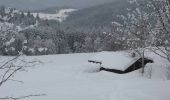Randonnée Raquettes à neige Saint-Maurice-sur-Moselle - Vosges en Raquettes : les lacs du Neuweiher - Photo 1