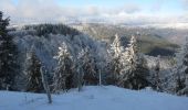 Randonnée Raquettes à neige Ventron - Vosges en Raquettes : Felsach - Photo 6