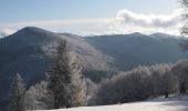 Randonnée Raquettes à neige Ventron - Vosges en Raquettes : Felsach - Photo 4