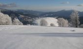 Randonnée Raquettes à neige Ventron - Vosges en Raquettes : Felsach - Photo 3