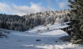 Tocht Sneeuwschoenen Ventron - Vosges en Raquettes : Felsach - Photo 2