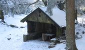 Tocht Sneeuwschoenen Ventron - Vosges en Raquettes : Felsach - Photo 1
