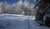 Percorso Racchette da neve Vassieux-en-Vercors - Col de Vassieux - Photo 3