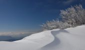 Percorso Racchette da neve Vassieux-en-Vercors - Col de Vassieux - Photo 1