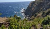 Trail Walking Banyuls-sur-Mer - Banyuls Port Bou par le littoral - Photo 6