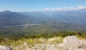 Tocht Stappen Saint-Laurent-de-Cerdans - MtCapel-Bolet_T - Photo 1