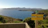 Trail Walking Port-Vendres - Les Paulilles - Collioure - Photo 5