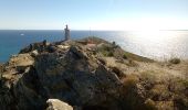 Trail Walking Port-Vendres - Les Paulilles - Collioure - Photo 4