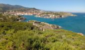 Excursión Senderismo Port-Vendres - Les Paulilles - Collioure - Photo 3