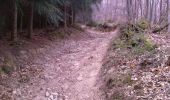 Trail Walking Pollionnay - Pollionnay, Croix du Ban,  la Luère 7,5 Km - Photo 1