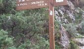 Tour Wandern Ota - boucle des deux ponts des gorges de Spelunca - Photo 4