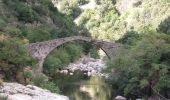 Tocht Stappen Ota - boucle des deux ponts des gorges de Spelunca - Photo 1