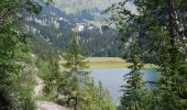 Randonnée Marche Arâches-la-Frasse - Le lac de Flaine par Les Carroz d'Arâches - Photo 5