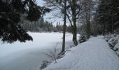 Randonnée Raquettes à neige La Bresse - Tour du Lac des Corbeaux - La Bresse - Photo 2