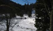Tocht Sneeuwschoenen La Bresse - Tour du Lac des Corbeaux - La Bresse - Photo 1