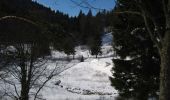 Randonnée Raquettes à neige La Bresse - Tour du Lac des Corbeaux - La Bresse - Photo 1