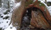 Randonnée Raquettes à neige Xonrupt-Longemer - Tour du Lispach - Longemer - Photo 2