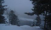 Randonnée Raquettes à neige Xonrupt-Longemer - Tour du Lispach - Longemer - Photo 1