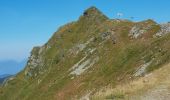 Trail Walking Le Haut-Bréda - roche noire - Photo 1