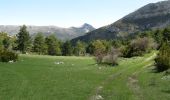 Excursión Bici de montaña Castellane - Grande Traversée des PréAlpes à VTT : Chaudanne - Stade de Neige de Vauplane - Photo 2