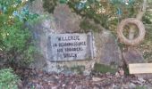 Trail Walking Gedinne - GEDINNE ( Vers Willerzie par la forêt de Rienne et le monument Bruck). - Photo 3