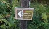 Trail Walking Gedinne - GEDINNE ( Vers Willerzie par la forêt de Rienne et le monument Bruck). - Photo 2